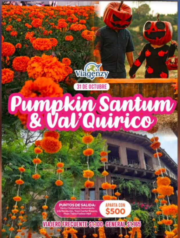 Pumpkin_Santum_y_Val_Quirico